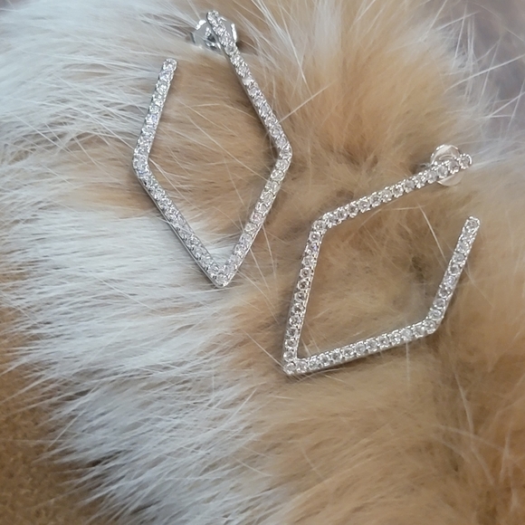 NIB Hoop Earrings Adornia - Picture 13 of 13